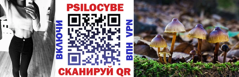 Галлюциногенные грибы прущие грибы Ступино